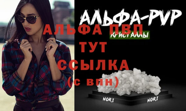 стаф Кукмор