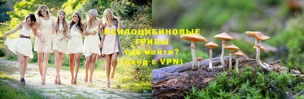 стаф Кукмор