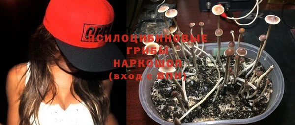 мяу мяу мука Куйбышев